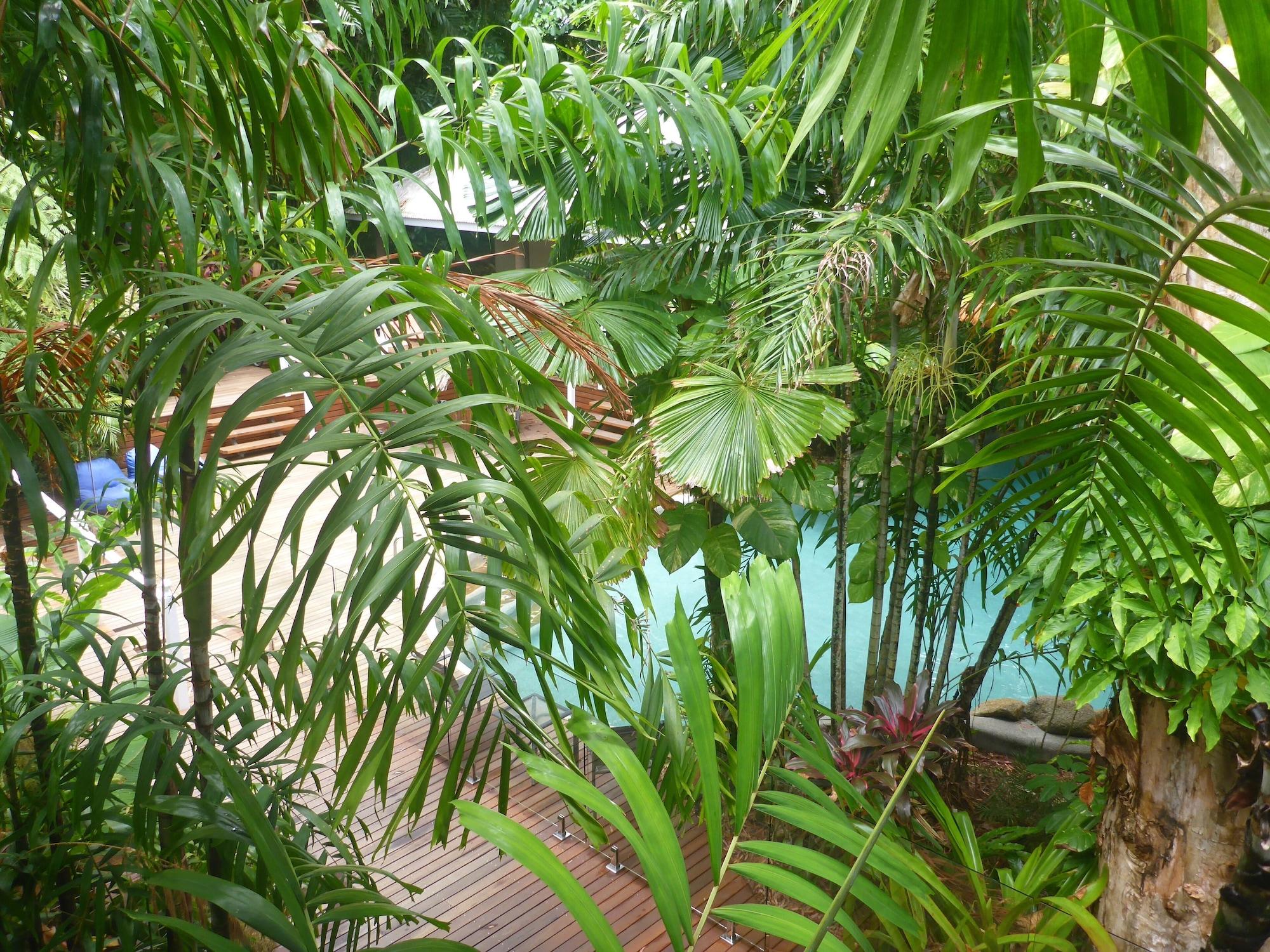 Palm Cove Tropic Apartments Exterior foto