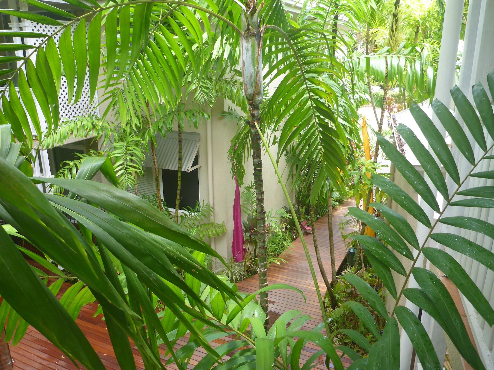 Palm Cove Tropic Apartments Exterior foto