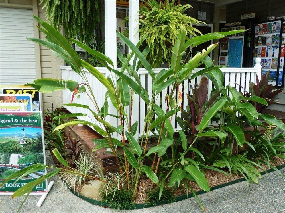 Palm Cove Tropic Apartments Exterior foto